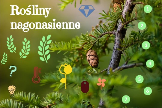 Jakie Sa Rosliny Nagonasienne - Rośliny nagonasienne