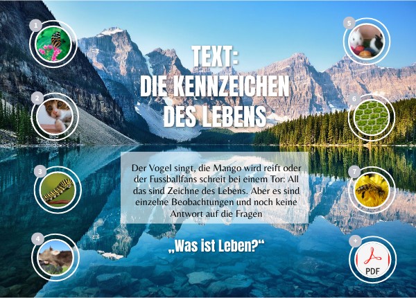 Kennzeichen Des Lebens TEXT: DIE KENNZEICHEN DES LEBENS