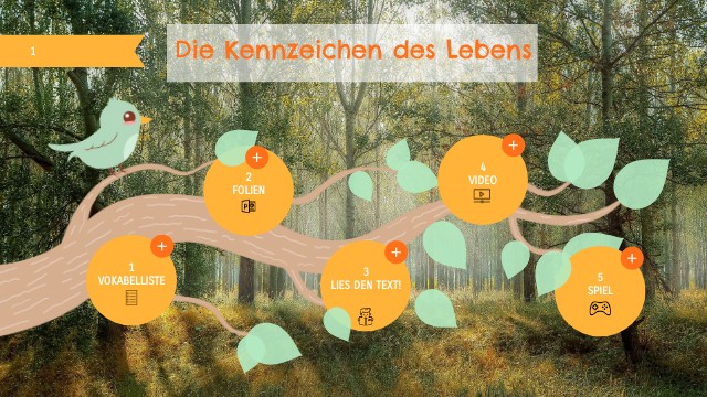 Merkmale Des Lebens Klasse 5 DIE KENNZEICHEN DES LEBENS