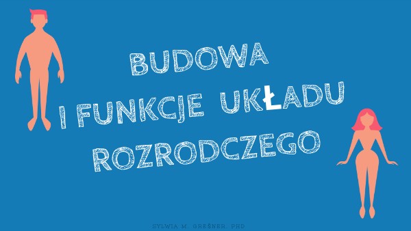 Biologia 2 Gim Sprawdzian Rozmnazanie Rodzina