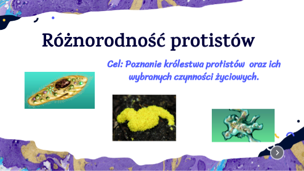 Różnorodność protistów