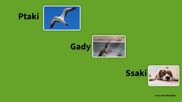 Ptaki, gady, ssaki. Klasy 1-3