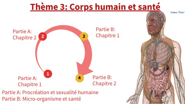 2nde thème 3 corps humain et santé
