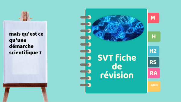 fiche de révision SVT