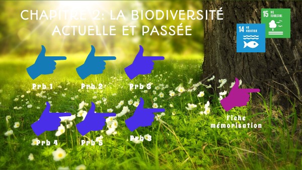 évaluation Svt 6ème Biodiversité Actuelle Et Passée