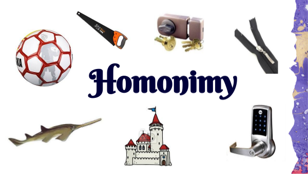 Homonimy
