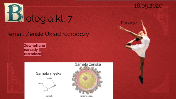 Biologia Klasa 7 Uklad Rozrodczy Biologia kl. 7 Żeński układ rozrodczy
