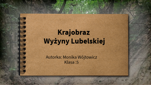 Wyżyna Lubelska