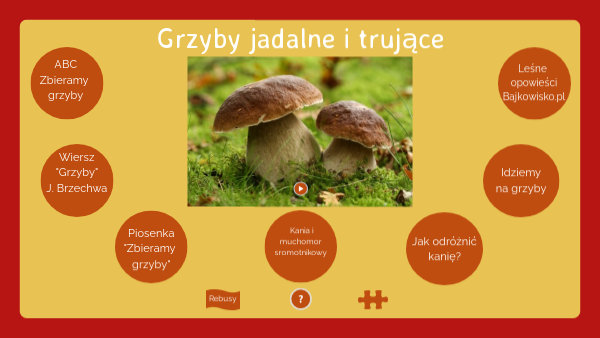 Grzyby Jadalne I Trujące Klasa 3 Grzyby jadalne i trujące