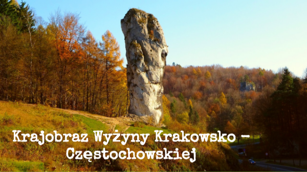 Wyżyna Krakowsko - Częstochowska.