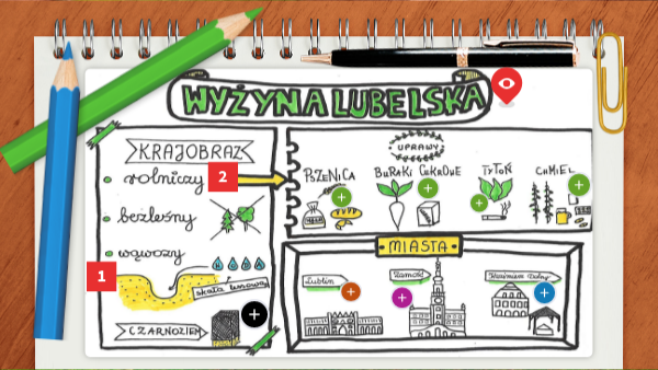 krajobraz rolniczy Wyżyny Lubelskiej