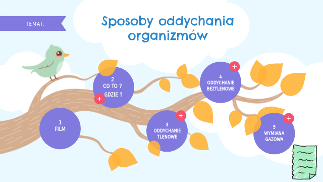 oddychanie organizmów kl.5