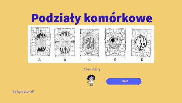 B8 Podziały komórkowe