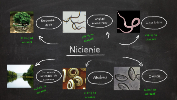 Nicienie