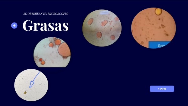 Atlas Parasitología