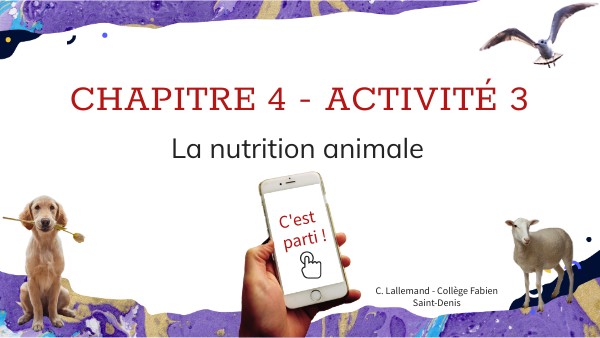 Activité 2 - La nutrition animale