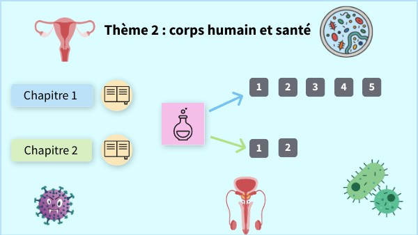 Thème 3 Corps humain et santé