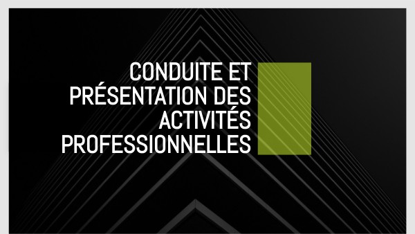 Conduite Et Présentation D'activités Professionnelles Page De Garde ACTIVITES PROFESSIONNELLES