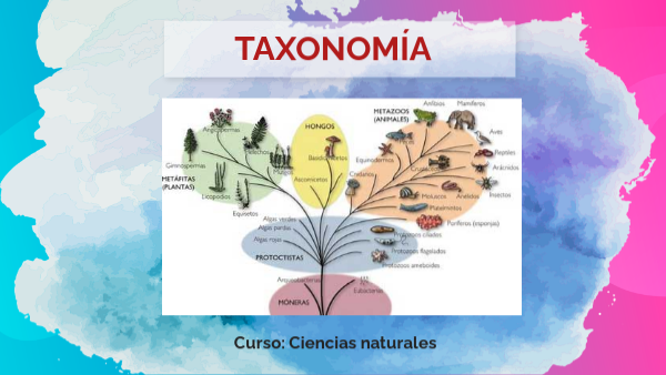 Taxonom a 1ro Sec By Lily Centeno On Genially