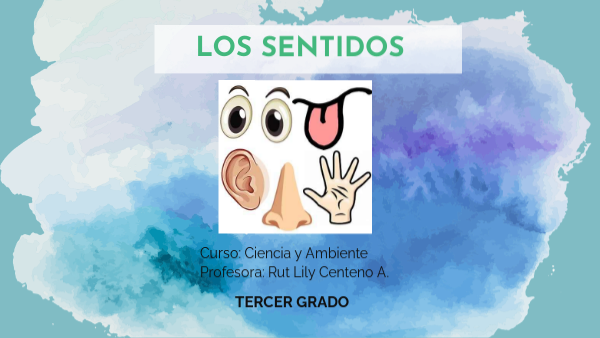 Los Sentidos 3ro Grado