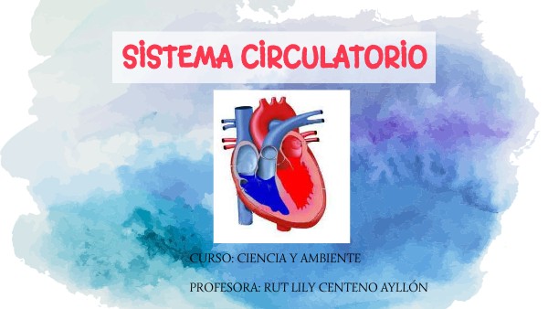 Sistema Circulatorio 2do Prim
