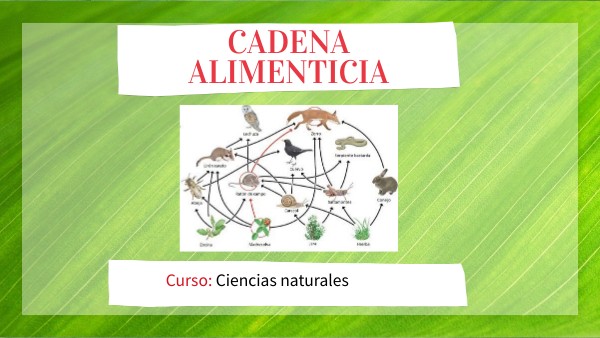Cadena Alimentaria 1 By Lily Centeno On Genially