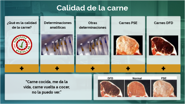 CALIDADES DE LA CARNE