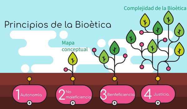 Principios de la Bioética