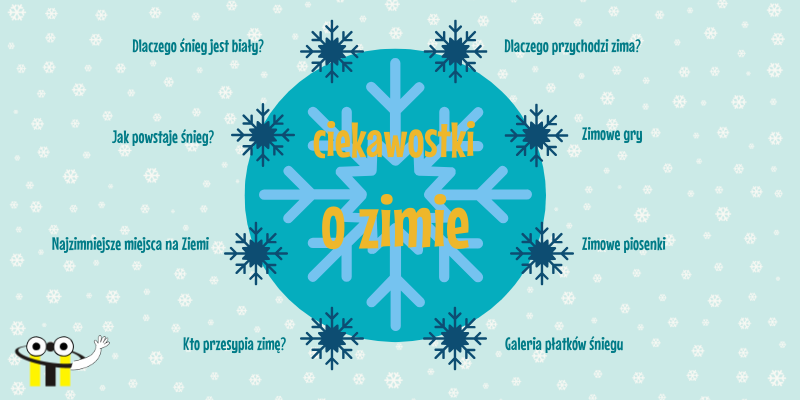 Ciekawostki o ZIMIE
