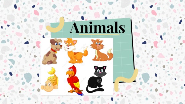 Animals