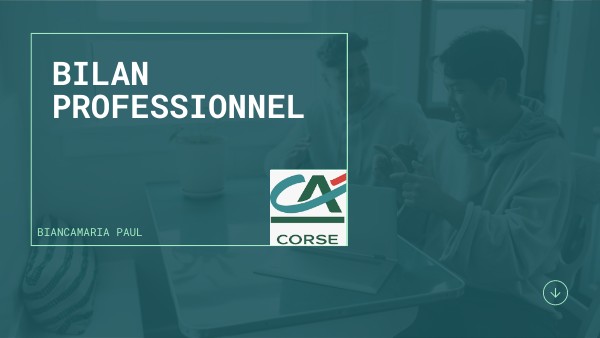 Bilan Professionnel By Dbiancamaria On Genially