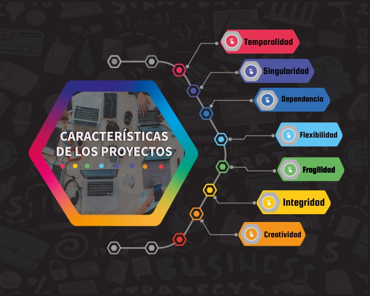 CARACTERISTICAS DE LOS PROYECTOS