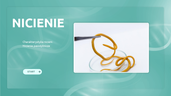 Nicienie