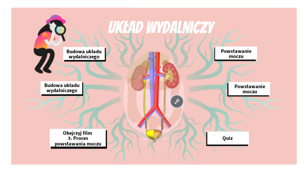 Uklad Wydalniczy Test Klasa 7 - Układ wydalniczy