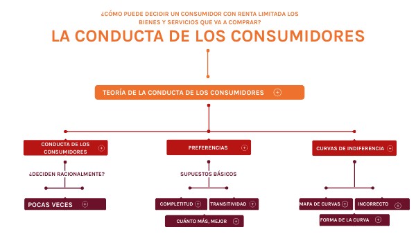CONDUCTA DEL CONSUMIDOR