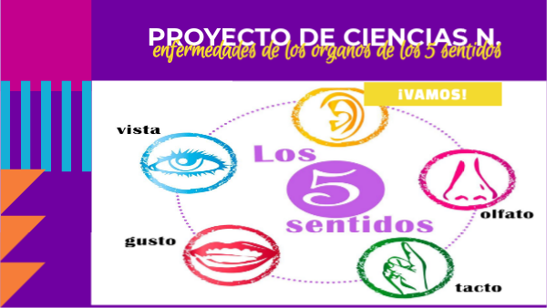 ccnn 8tavo enfermedades de los organos de los sentidos