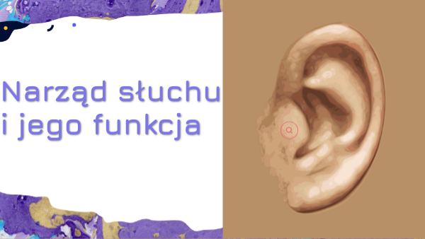 NARZĄD SŁUCHU 3 kl