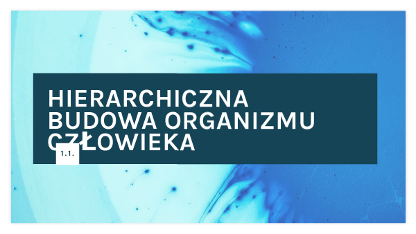 1.2. Hierarchiczna budowa organizmu człowieka
