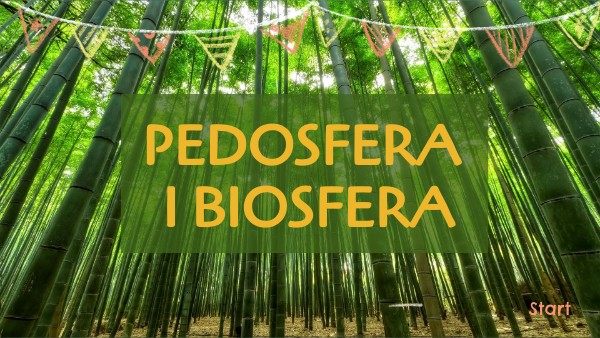 Kl. 1 Pedosfera i biosfera