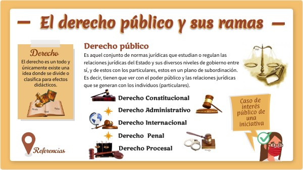 El derecho público y sus ramas