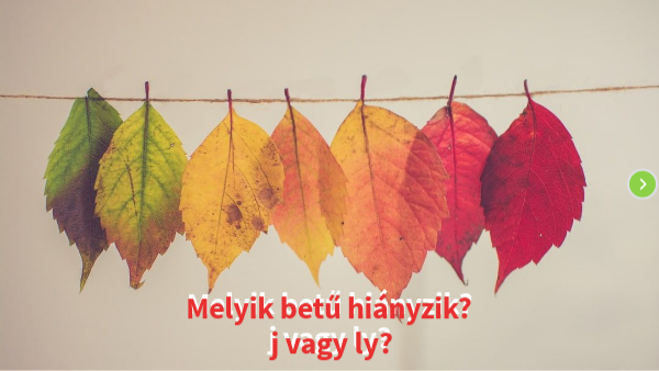 J Vagy Ly 