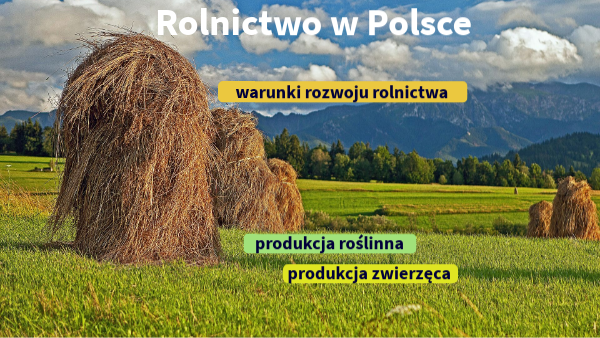 Rolnictwo w Polsce