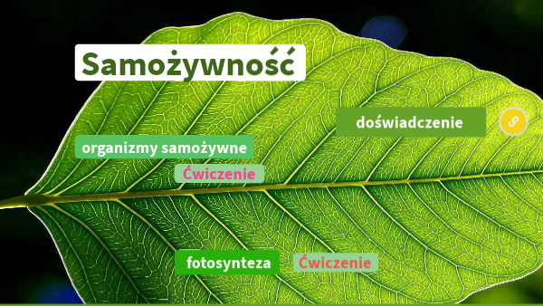 Samożywność