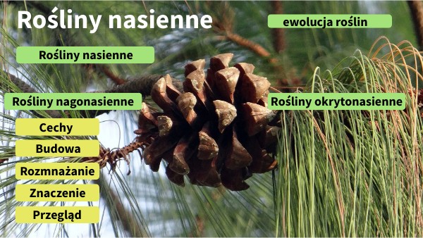 Rośliny nasienne