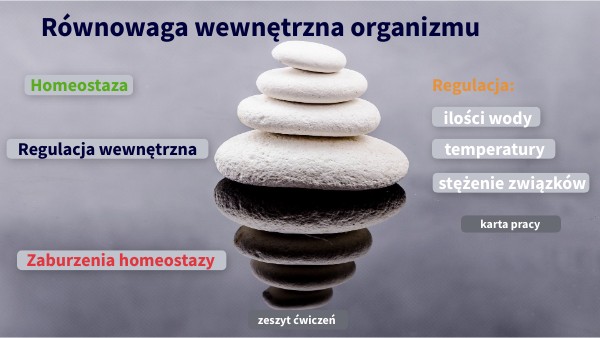 Równowaga wewnętrzna organizmu