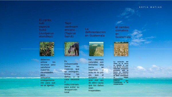 Recursos naturales de Guatemala en peligro de Extinción