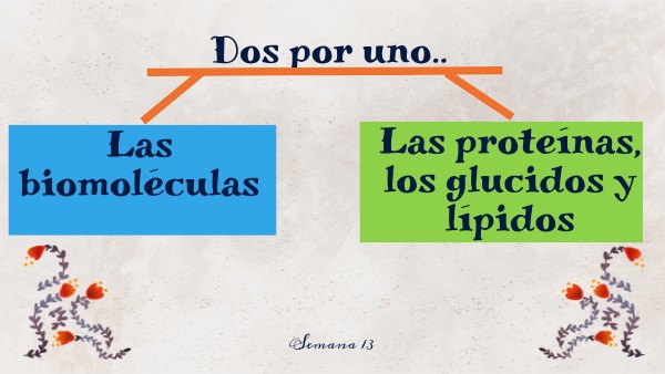 Ciencias Naturales 10mo