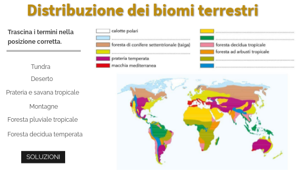 Distribuzione dei biomi terrestri