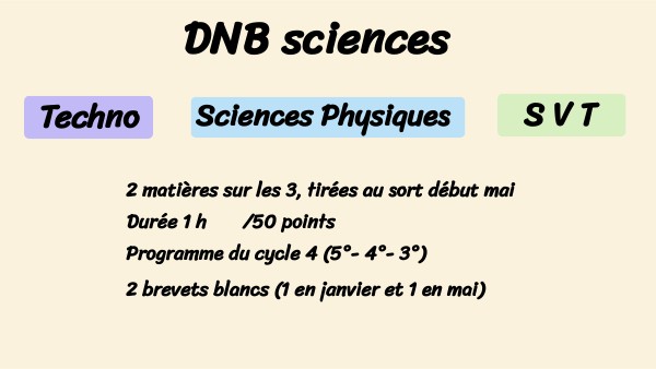 DNB