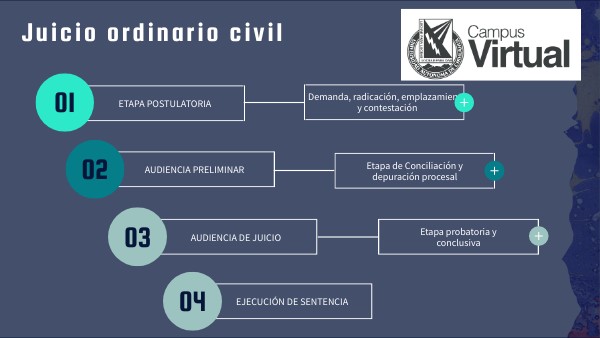 Juicio ordinario civil